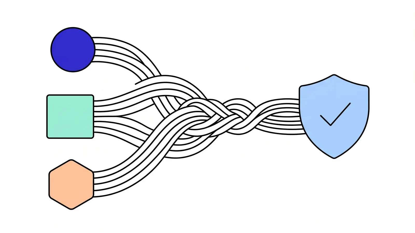 Illustration of three different shapes sending flowing lines that braid together and arrive at a single shield with a tick.